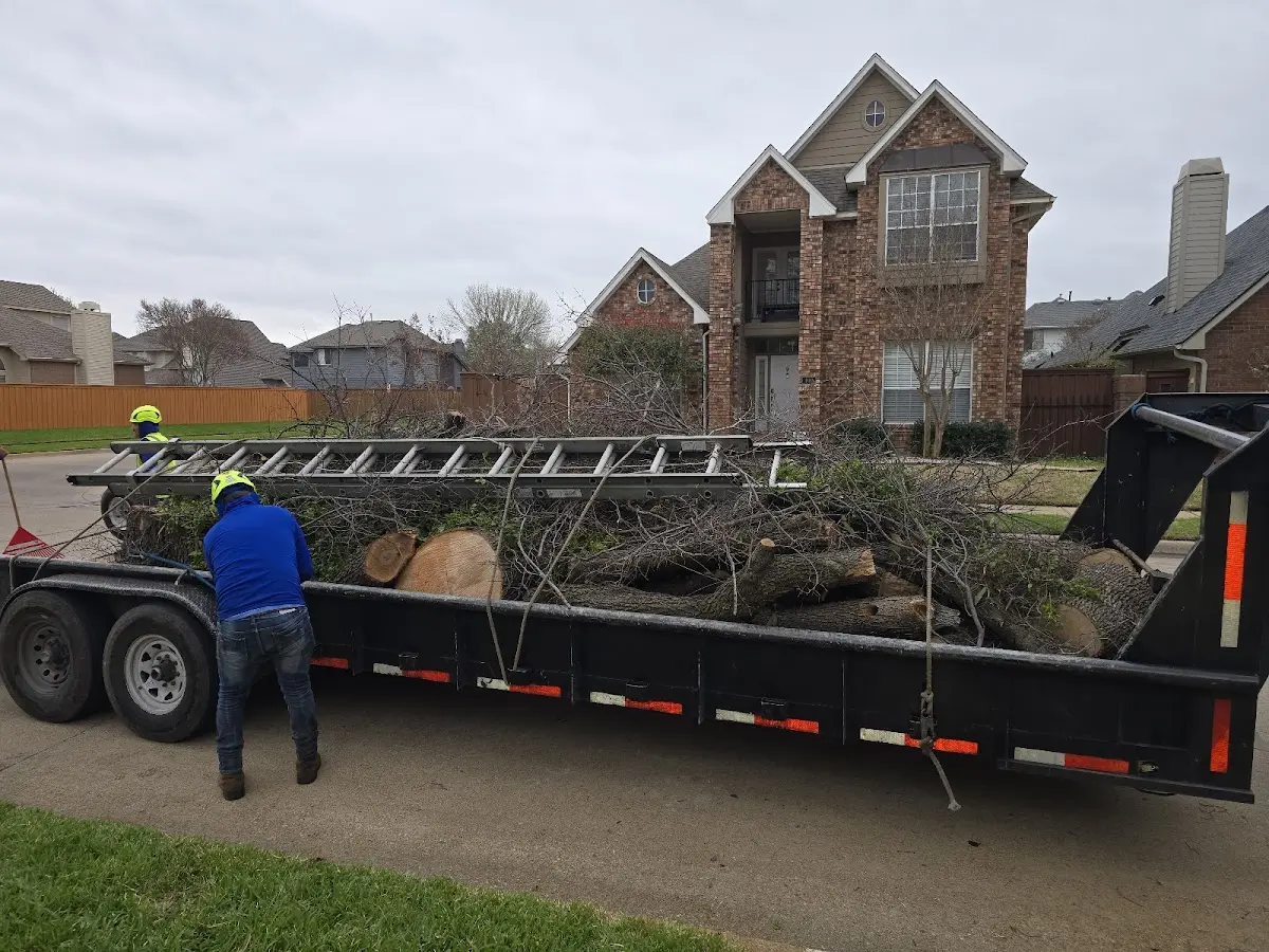 Expert Crown Reduction with proper safety equipment in Pine Bluffs